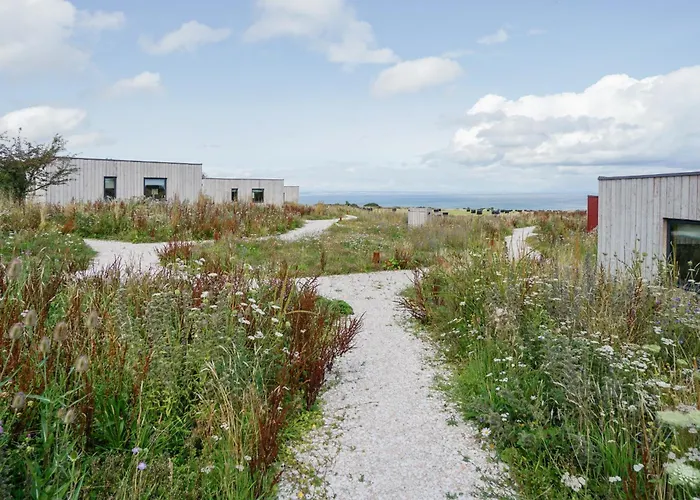 Rustic Cabins, Sea Views From Rewilded Farm With Highland Cows